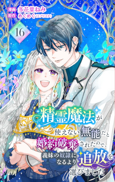 精霊魔法が使えない無能だと婚約破棄されたので、義妹の奴隷になるより追放を選びました 16